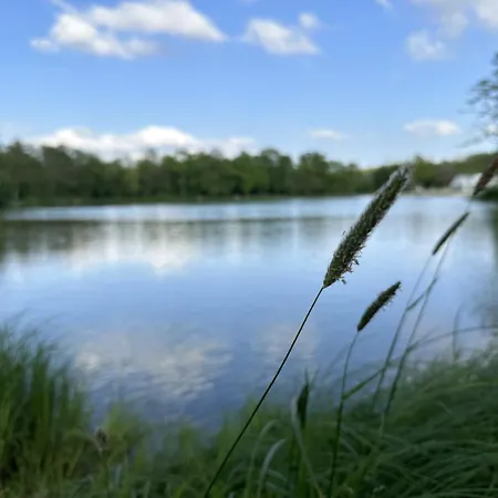 בית נופש Auszeit - Sauna, Am Frankenwaldsee Lichtenberg (Bavaria)