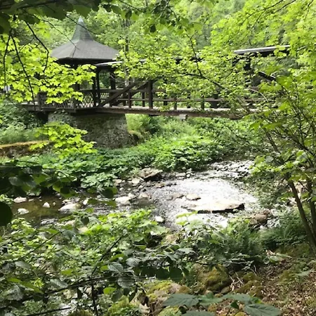 בית נופש Auszeit - Sauna, Am Frankenwaldsee *