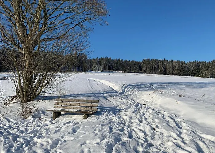 Schoenes 400m Vom See, Sauna, Kamin, Klima, Garten Lichtenberg (Bavaria)