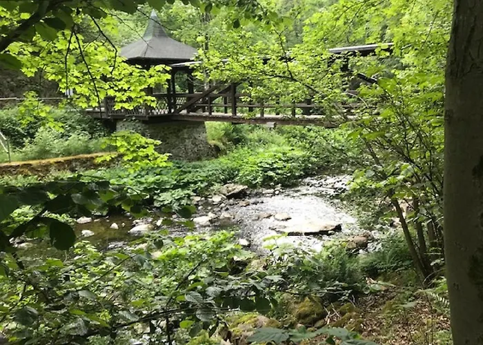 Prázdninový dům Schoenes 400m Vom See, Sauna, Kamin, Klima, Garten *